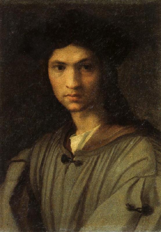 Andrea del Sarto Self-Portrait